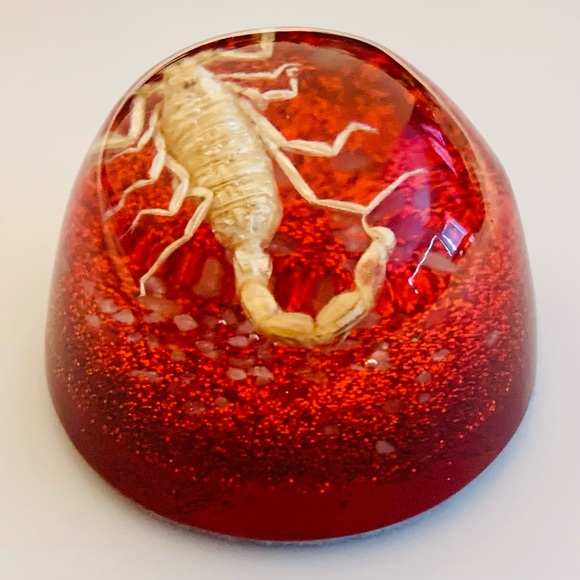 Scorpion Paperweight Acrylic Resin Dome Red Base with Glitter Felt Bottom - Picture 5 of 14
